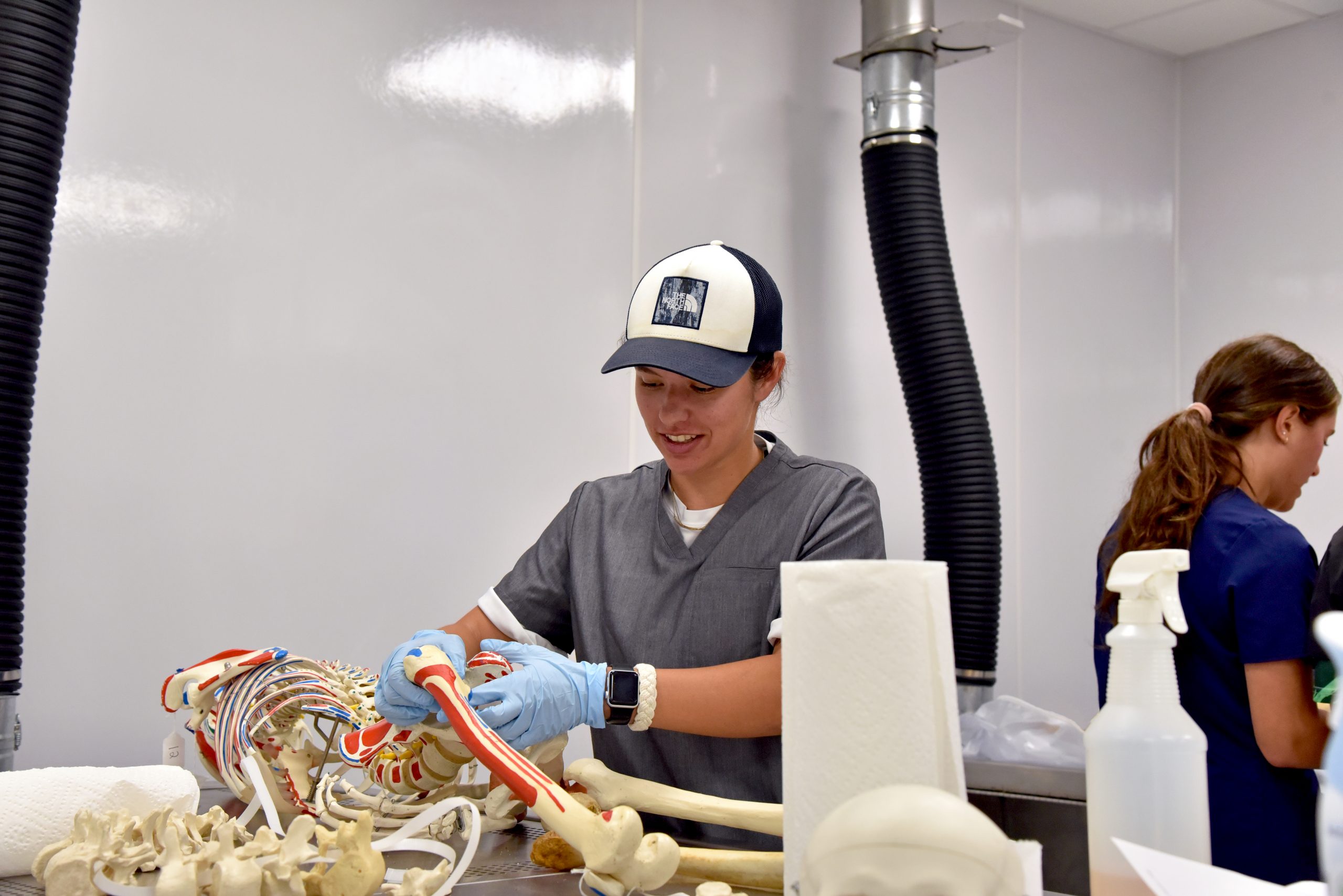 Student examining a human anatomy model